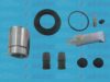 AUTOFREN SEINSA D41756C Repair Kit, brake caliper